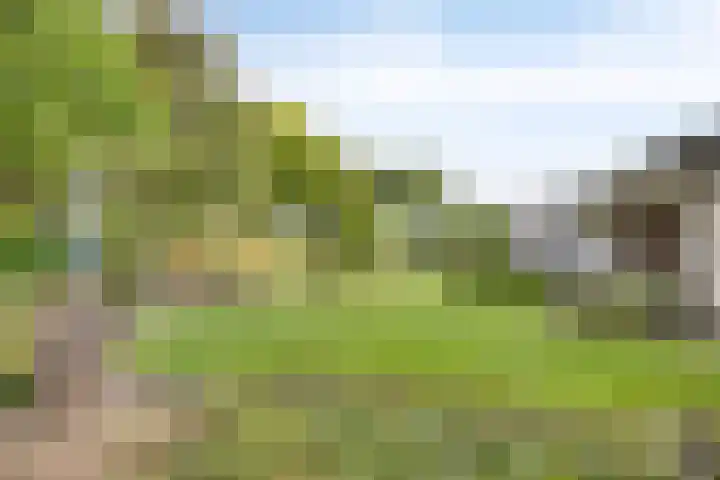 Nachtegaallaan 1 Grubbenvorst thumbnail 49