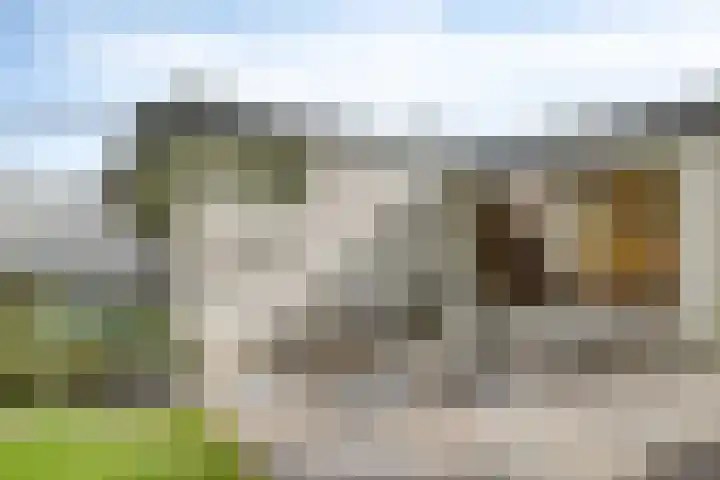 Nachtegaallaan 1 Grubbenvorst thumbnail 50