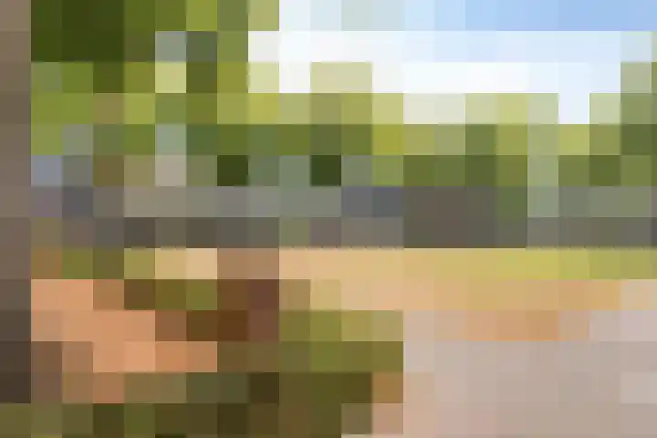 Nachtegaallaan 1 Grubbenvorst thumbnail 53