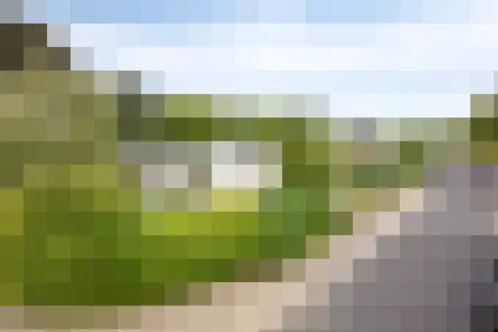 Nachtegaallaan 1 Grubbenvorst thumbnail 57