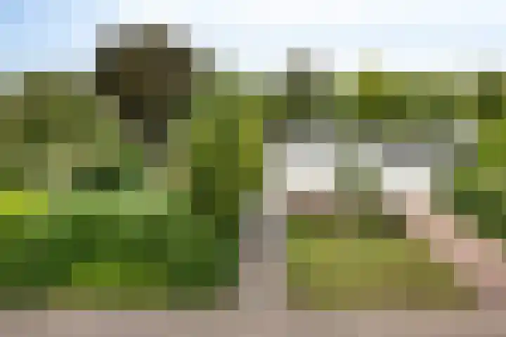 Nachtegaallaan 1 Grubbenvorst thumbnail 6