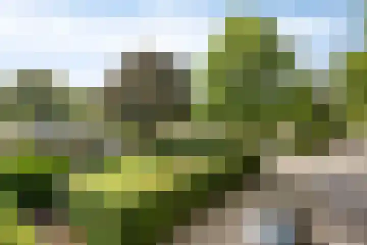 Nachtegaallaan 1 Grubbenvorst thumbnail 7