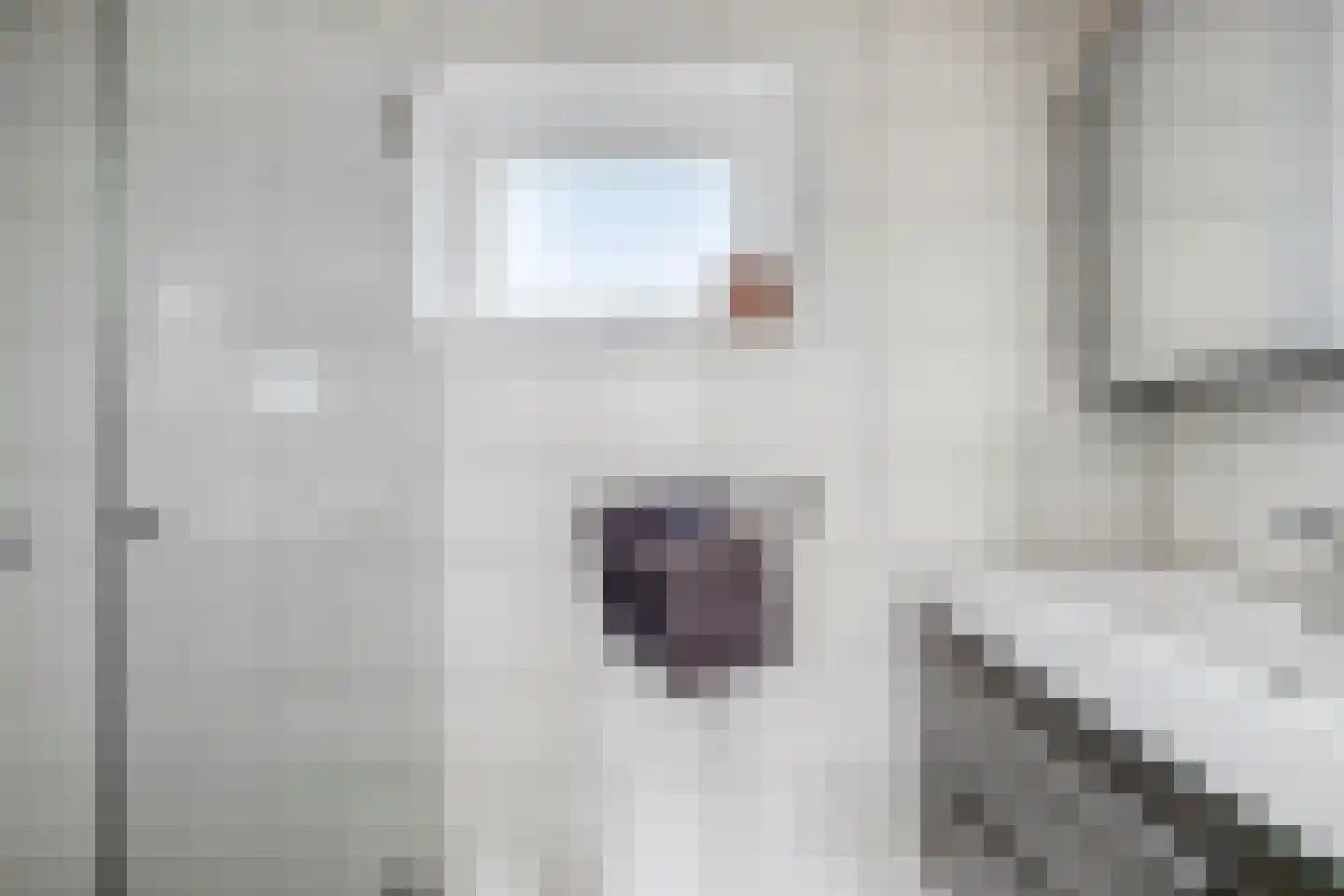 Nachtegaallaan 1 Scherpenzeel thumbnail 13