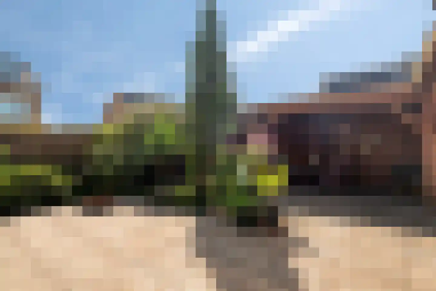 Nachtegaallaan 1 Scherpenzeel thumbnail 23