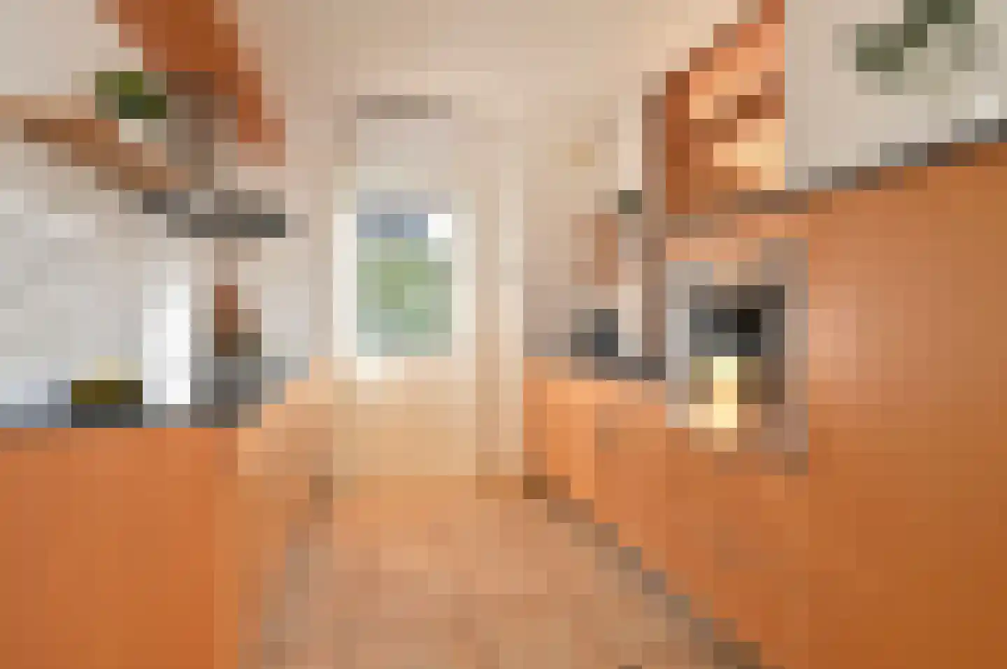 Nachtegaallaan 10 Baarn thumbnail 8