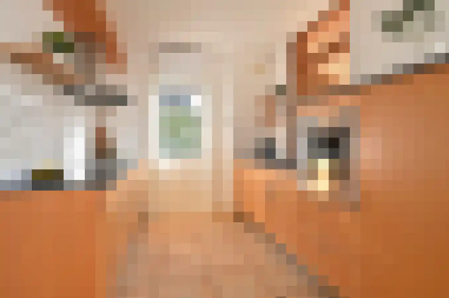 Nachtegaallaan 10 Baarn thumbnail 8