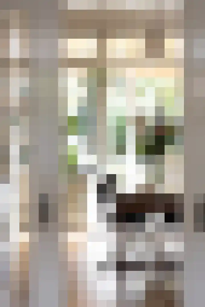 Nachtegaallaan 10 Rotterdam thumbnail 12