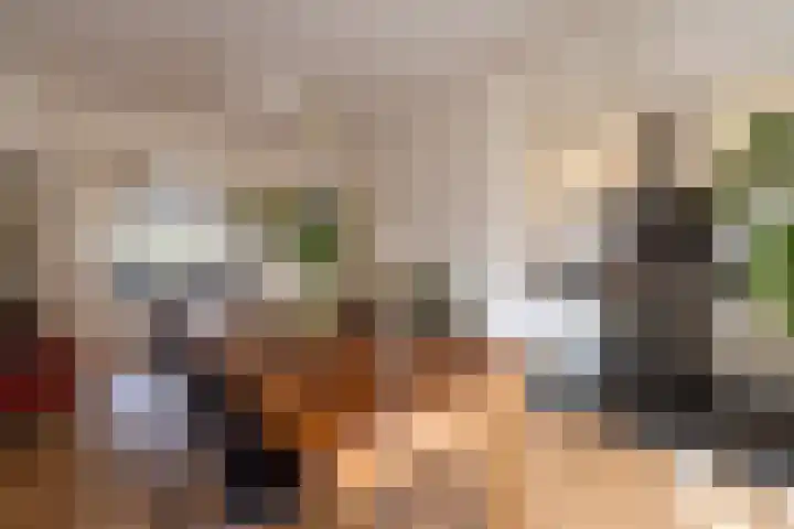 Nachtegaallaan 10 Rotterdam thumbnail 17