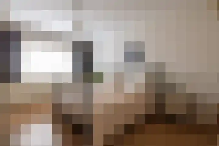 Nachtegaallaan 10 Rotterdam thumbnail 19