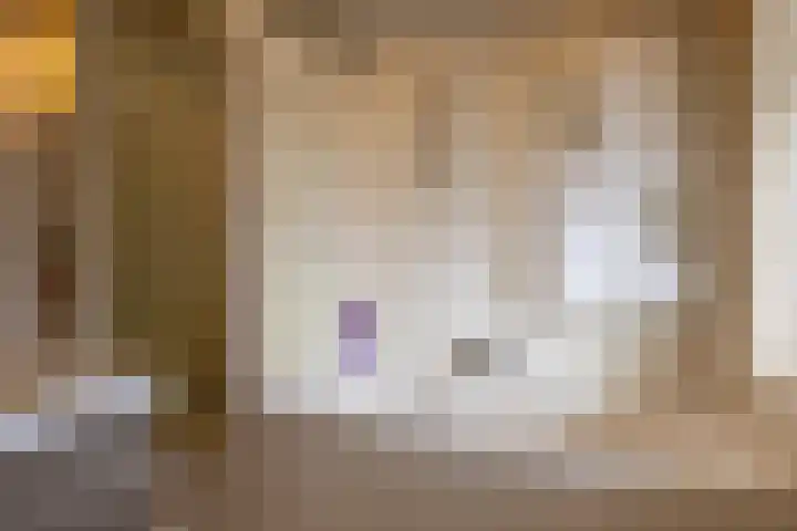 Nachtegaallaan 10 Rotterdam thumbnail 21
