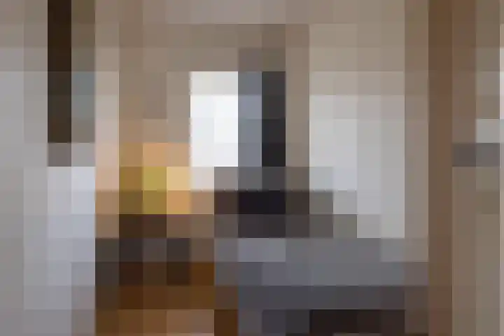 Nachtegaallaan 10 Rotterdam thumbnail 23