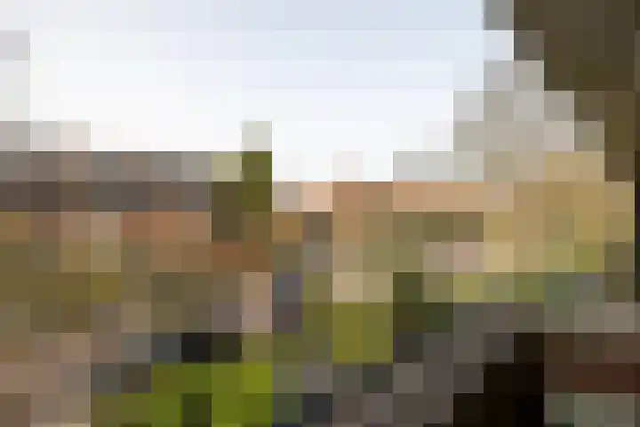 Nachtegaallaan 10 Rotterdam thumbnail 26