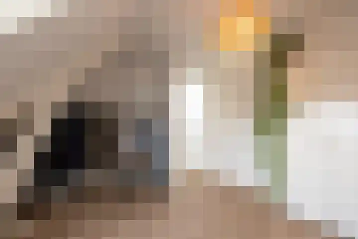 Nachtegaallaan 10 Rotterdam thumbnail 29