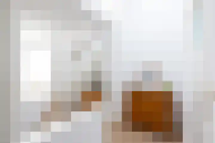 Nachtegaallaan 10 Rotterdam thumbnail 33
