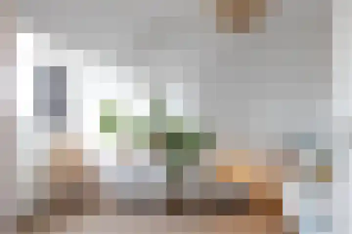 Nachtegaallaan 10 Rotterdam thumbnail 34