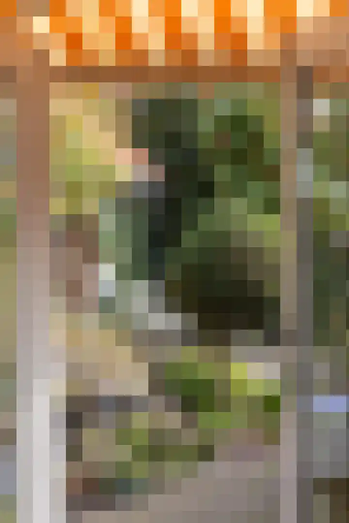 Nachtegaallaan 10 Rotterdam thumbnail 38