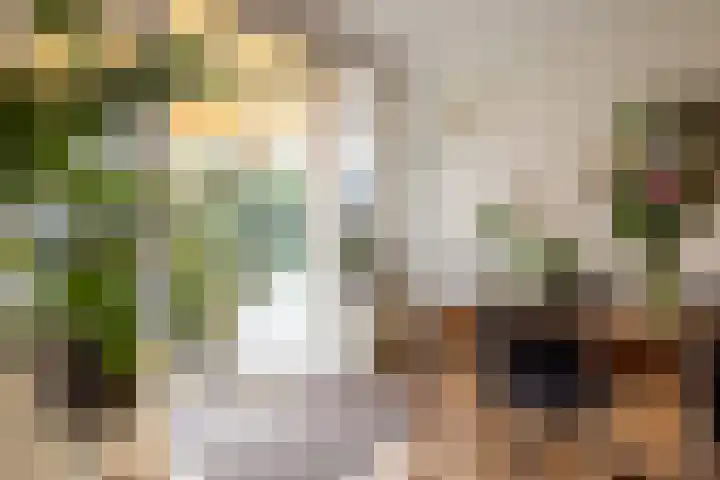 Nachtegaallaan 10 Rotterdam thumbnail 39