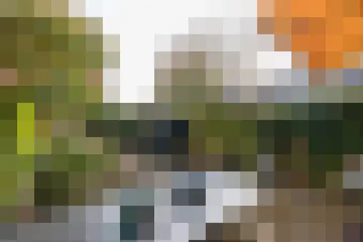 Nachtegaallaan 10 Rotterdam thumbnail 40