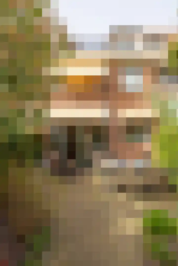 Nachtegaallaan 10 Rotterdam thumbnail 41