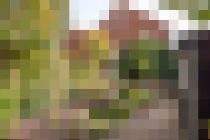 Nachtegaallaan 10 Rotterdam thumbnail 42