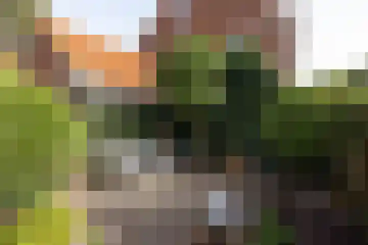 Nachtegaallaan 10 Rotterdam thumbnail 43