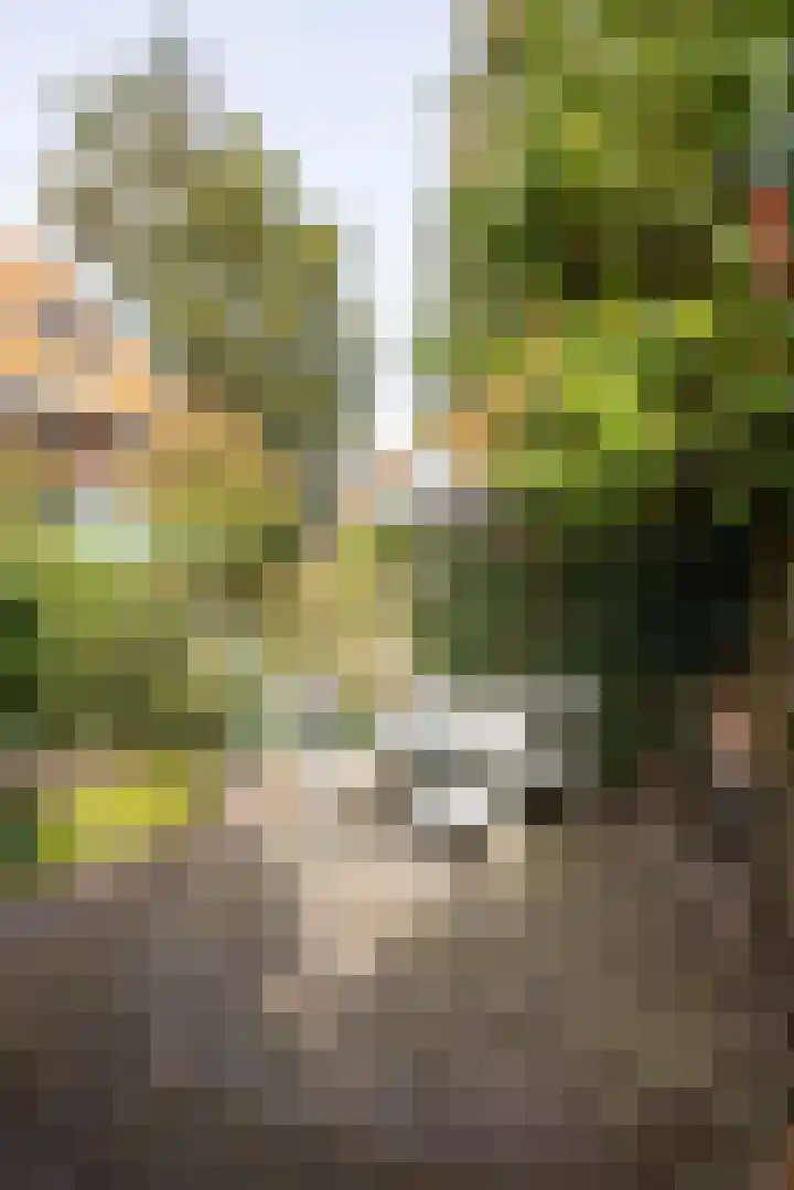 Nachtegaallaan 10 Rotterdam thumbnail 44