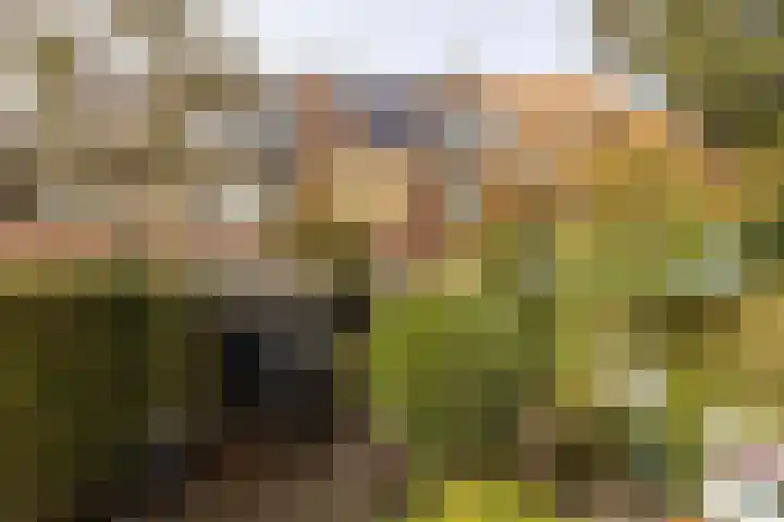 Nachtegaallaan 10 Rotterdam thumbnail 45