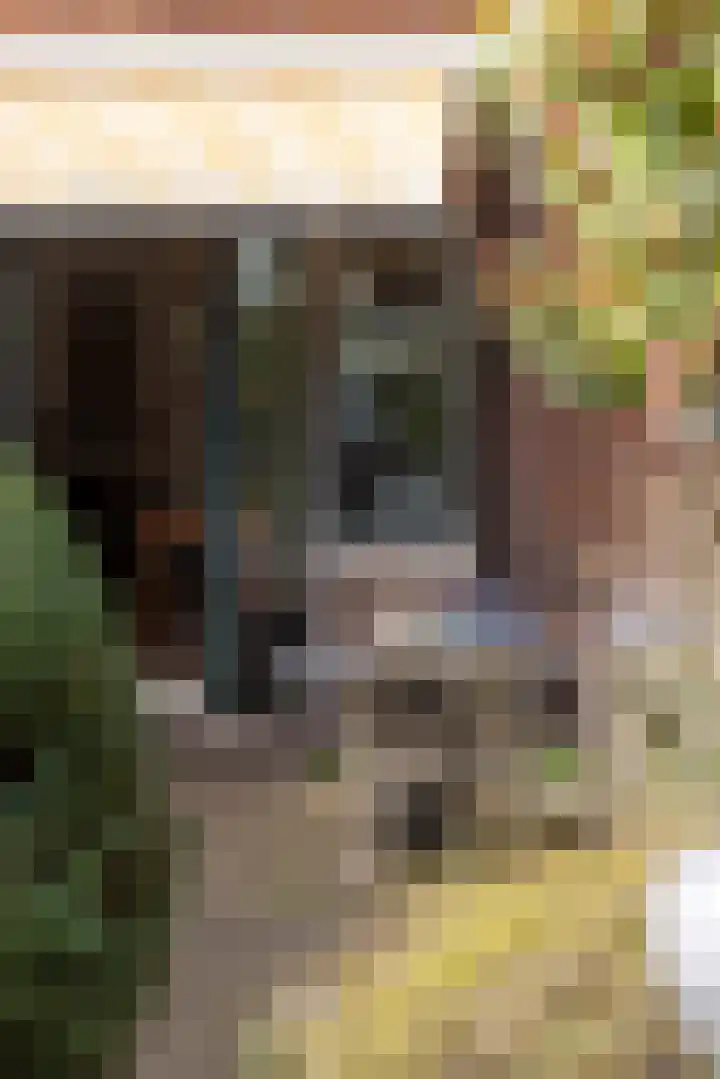 Nachtegaallaan 10 Rotterdam thumbnail 46