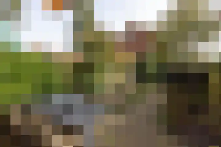 Nachtegaallaan 10 Rotterdam thumbnail 5