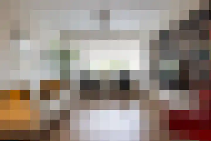 Nachtegaallaan 10 Rotterdam thumbnail 7