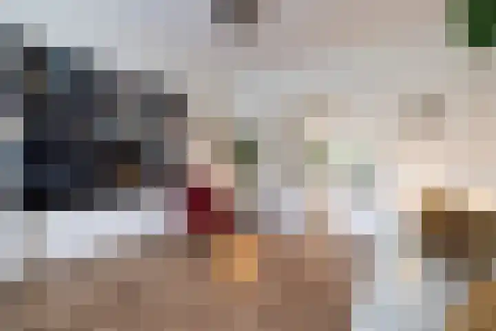 Nachtegaallaan 10 Rotterdam thumbnail 8