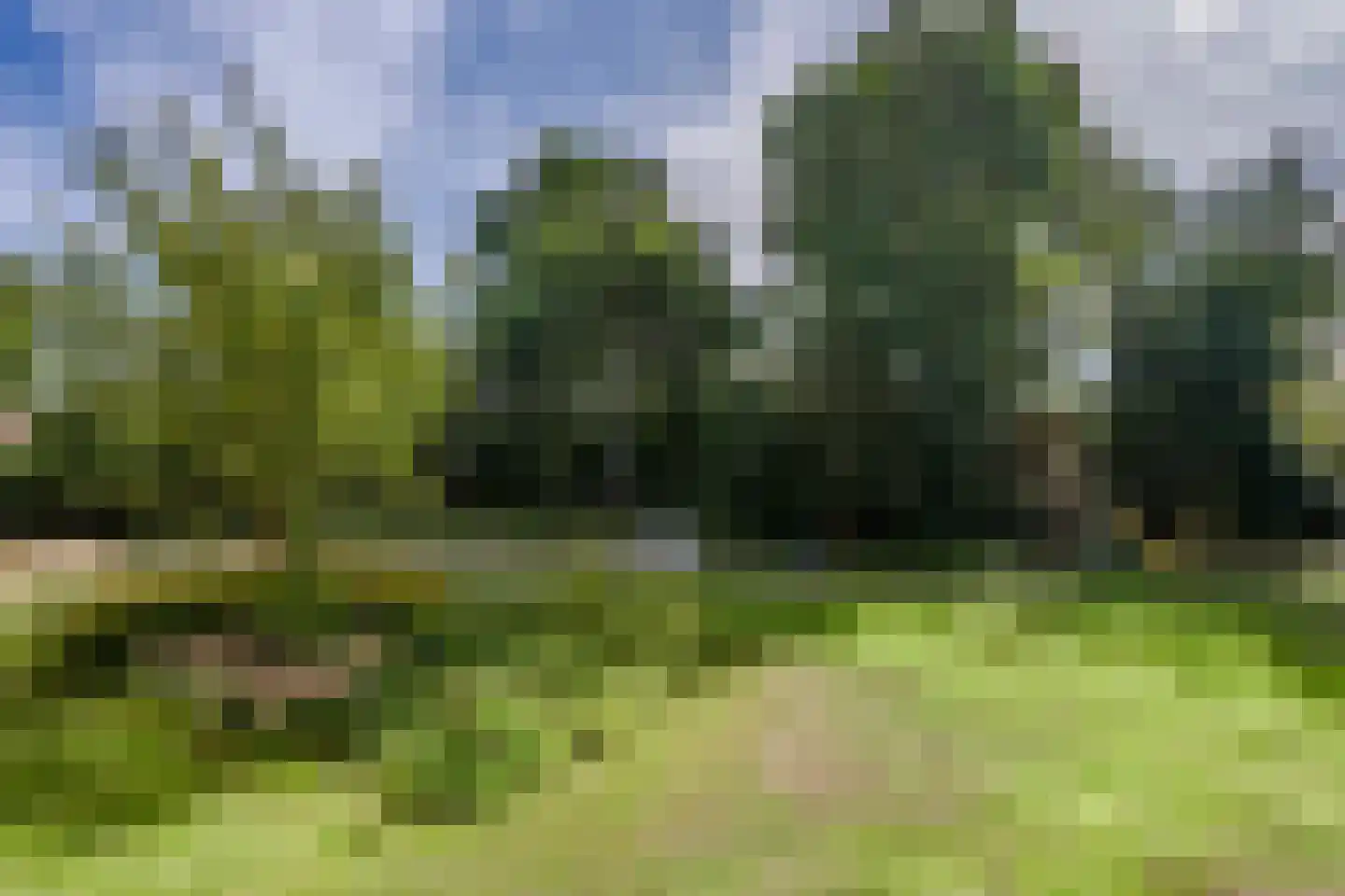 Nachtegaallaan 101 Katwijk thumbnail 19