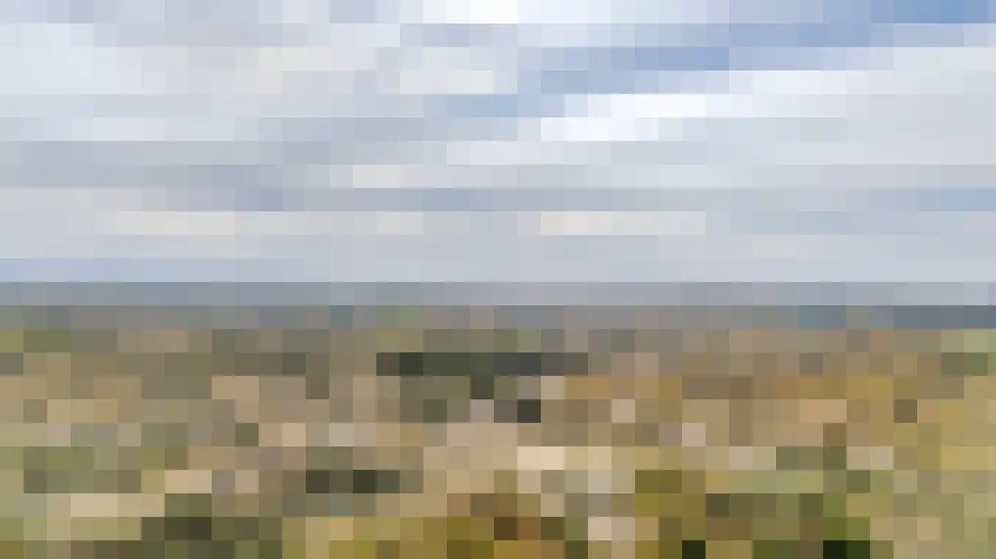Nachtegaallaan 101 Katwijk thumbnail 31