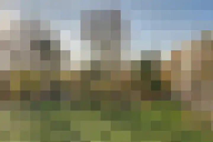 Nachtegaallaan 103 Katwijk thumbnail 41
