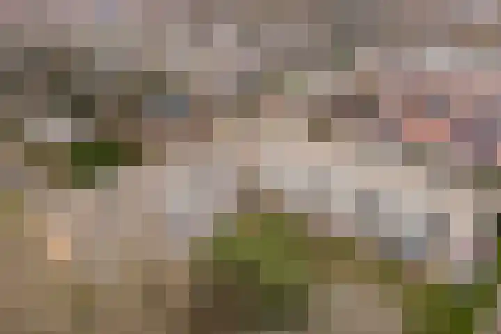 Nachtegaallaan 103 Katwijk thumbnail 46