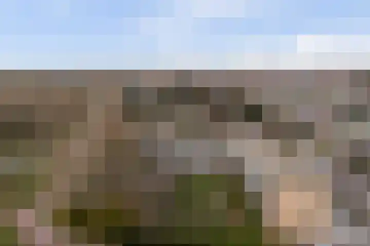 Nachtegaallaan 103 Katwijk thumbnail 47