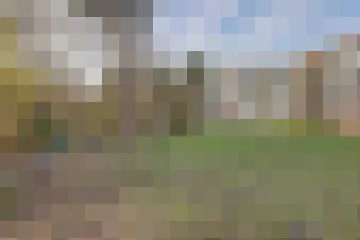 Nachtegaallaan 103 Katwijk thumbnail 48