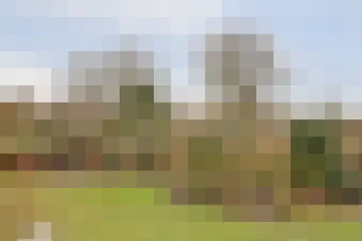 Nachtegaallaan 105 Katwijk thumbnail 38