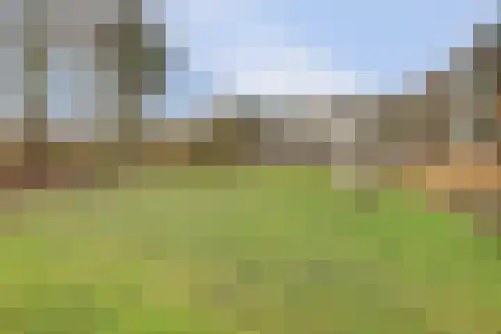 Nachtegaallaan 105 Katwijk thumbnail 39
