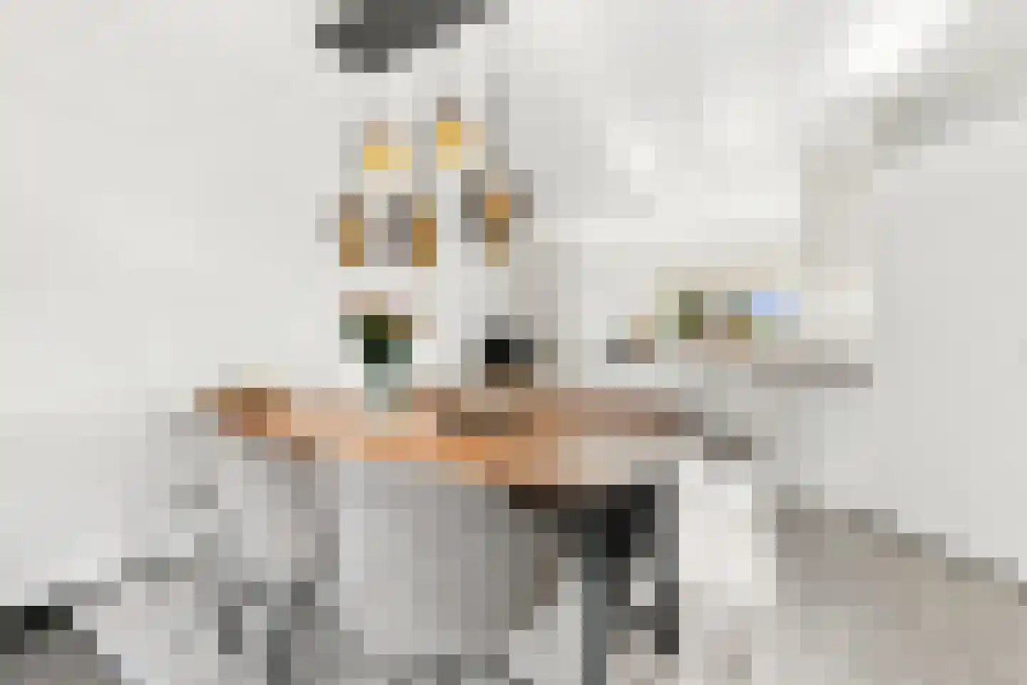 Nachtegaallaan 107 Tiel thumbnail 13
