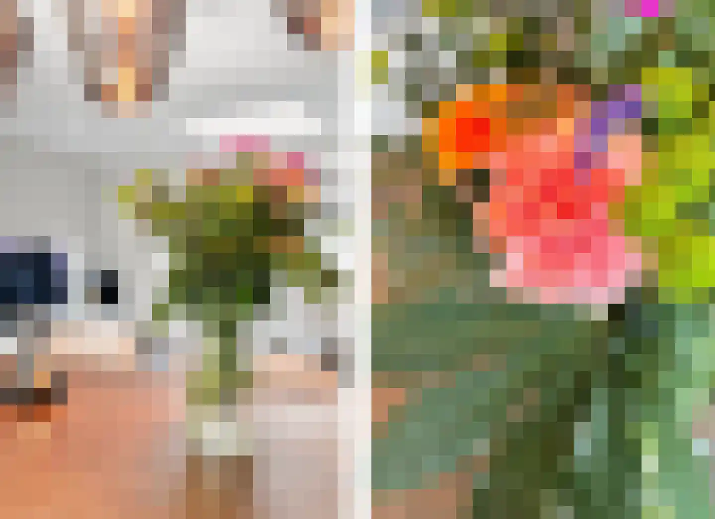 Nachtegaallaan 107 Tiel thumbnail 30