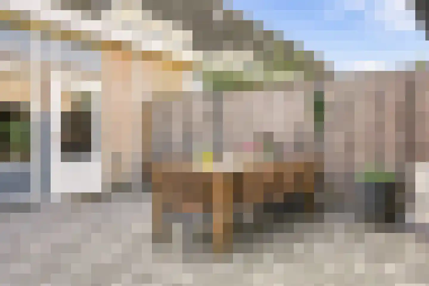 Nachtegaallaan 107 Tiel thumbnail 35