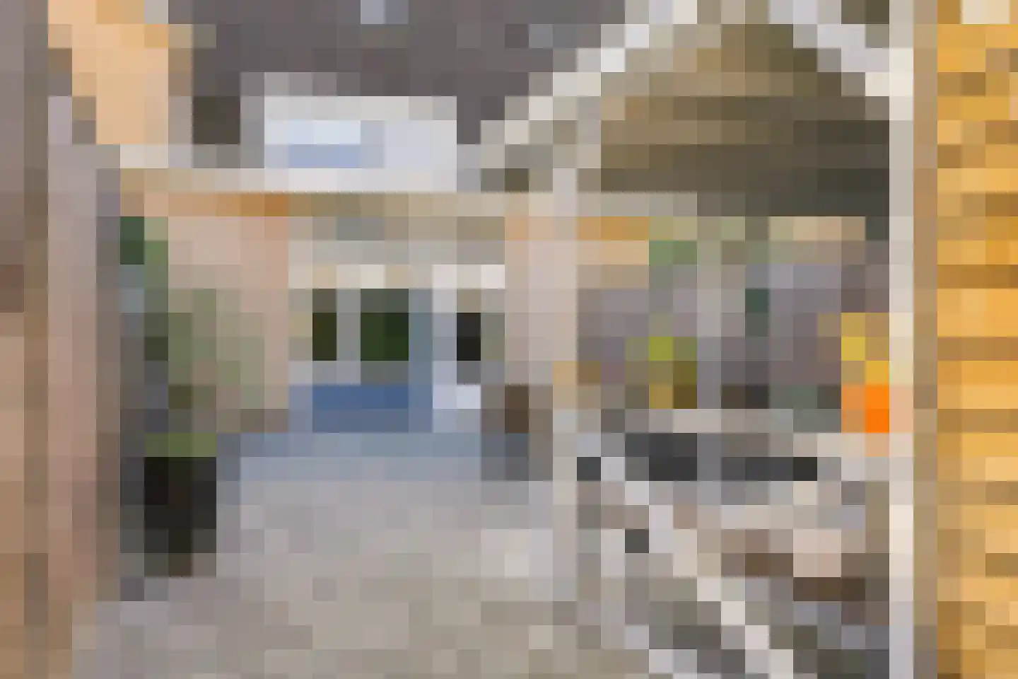 Nachtegaallaan 107 Tiel thumbnail 37