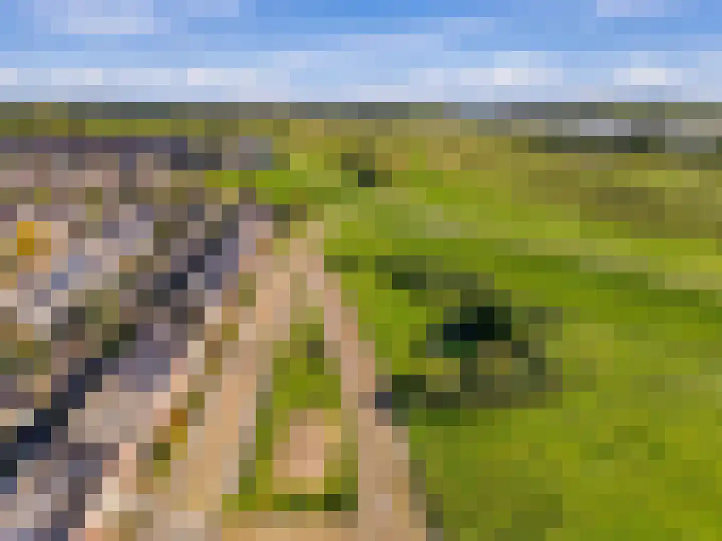 Nachtegaallaan 107 Tiel thumbnail 8