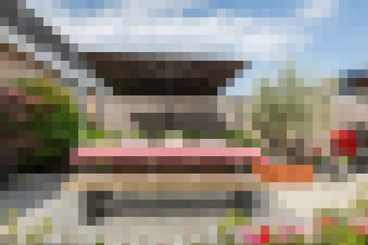 Nachtegaallaan 109 Tiel thumbnail 31