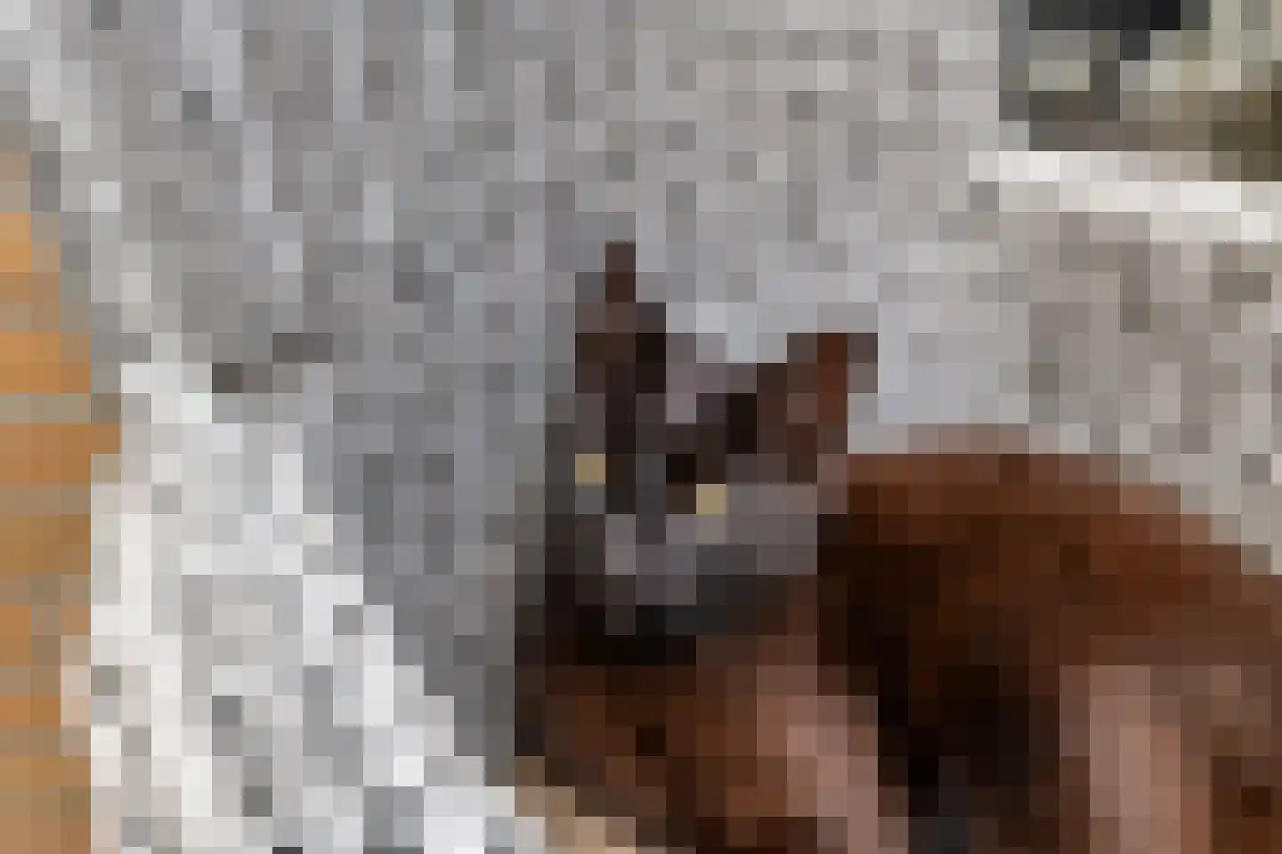 Nachtegaallaan 109 Tiel thumbnail 37