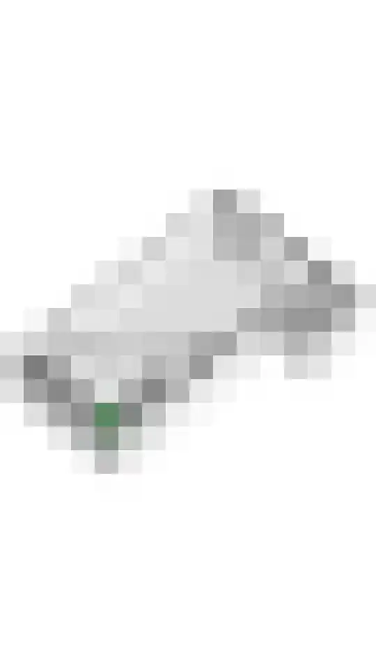 Nachtegaallaan 109 Tiel thumbnail 61