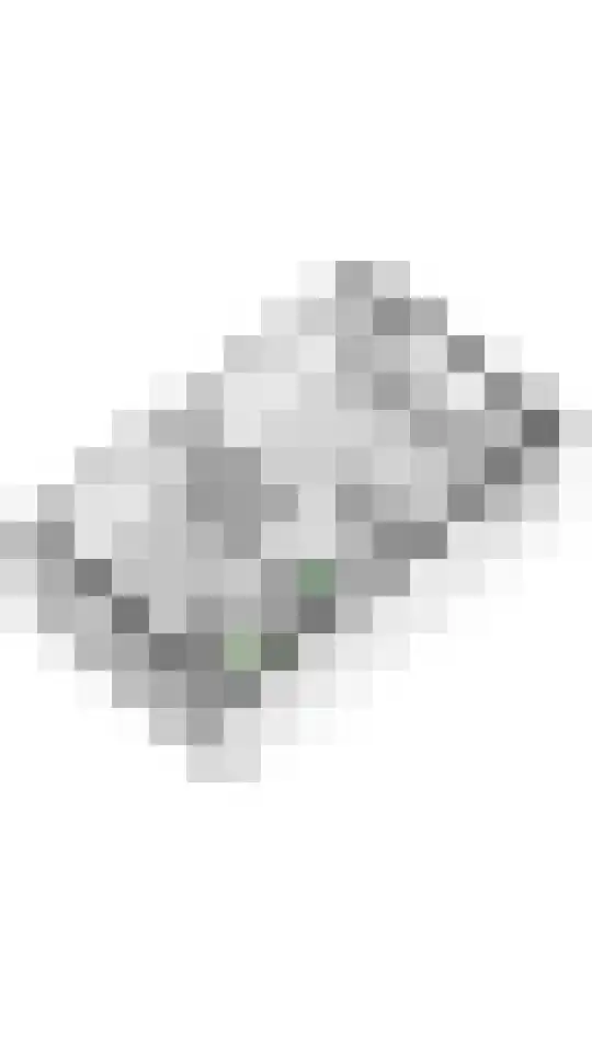 Nachtegaallaan 109 Tiel thumbnail 63
