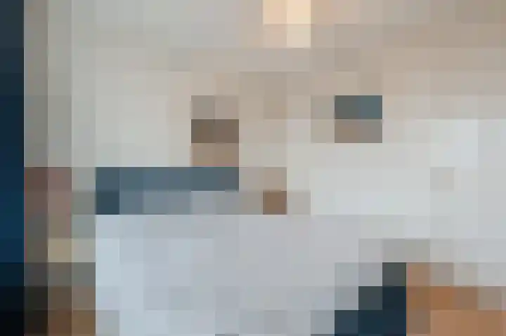 Nachtegaallaan 111 Katwijk thumbnail 25