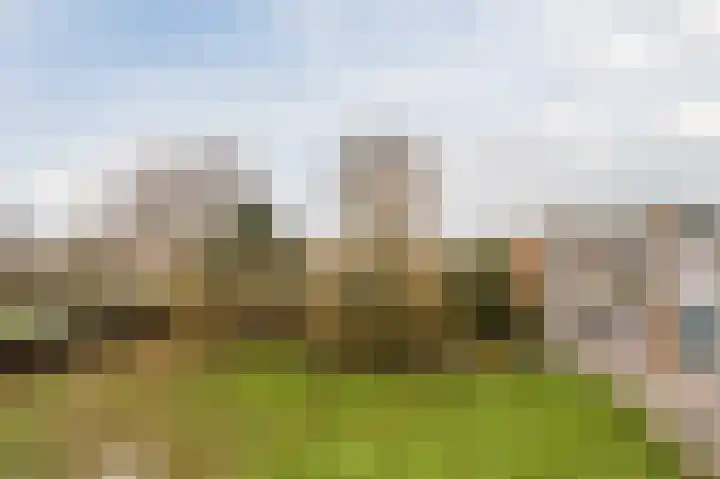 Nachtegaallaan 111 Katwijk thumbnail 4